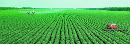 糧食種植新建實(shí)驗(yàn)室檢測項目及儀器方案 糧食種植新建實(shí)驗(yàn)室檢測項目及儀器方案