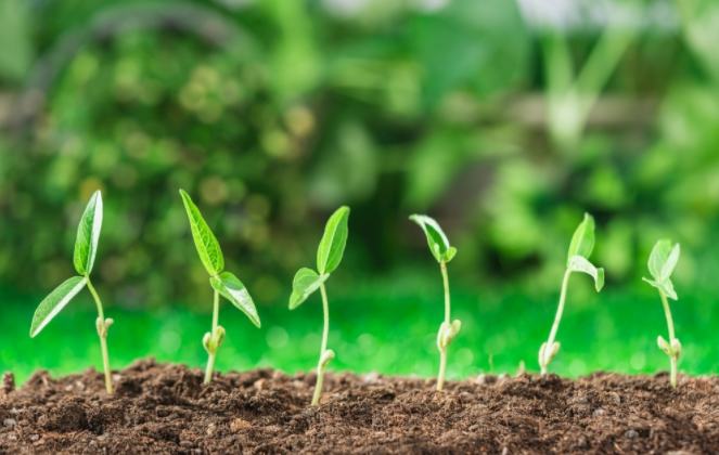 ������A���ٜy�x�����ҽ�B