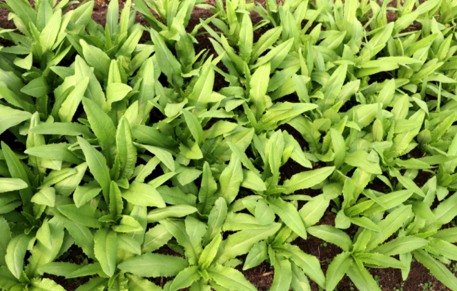 ����ˮ�ݜy���x��ʹ�÷���