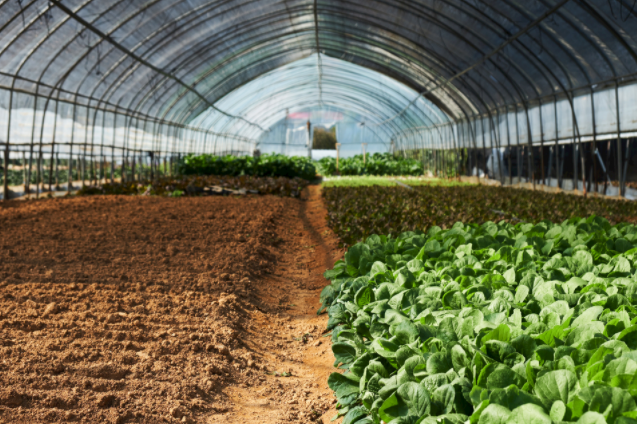 �����y(c��)��?j��)x��