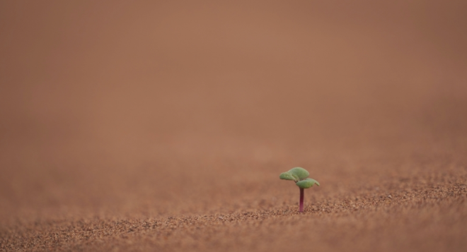 ��������O(ji��n)�yϵ�y(t��ng)