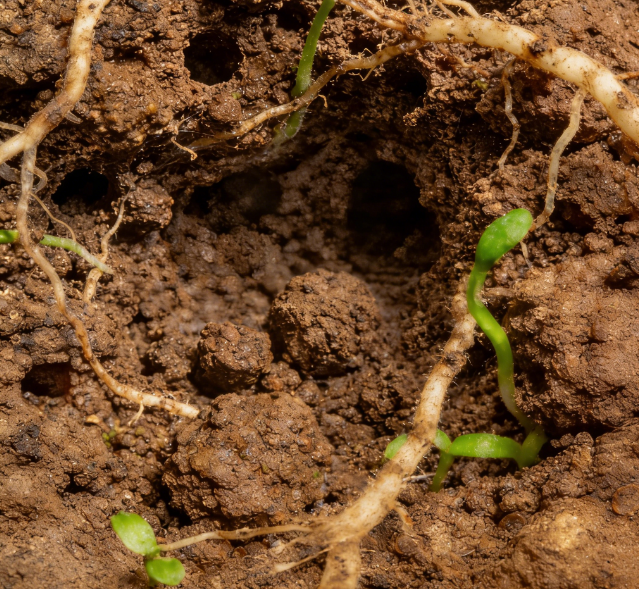 ����ˮ�ݜy���x�x���a(ch��n)���R�������}�A�����^ + ��̽�^�L�ȿɶ���